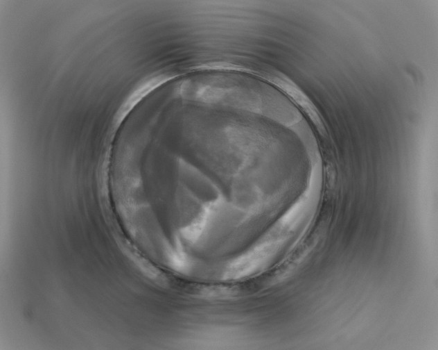 X0000113301002200910131043