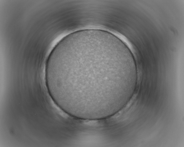 X0000113301006200910131043