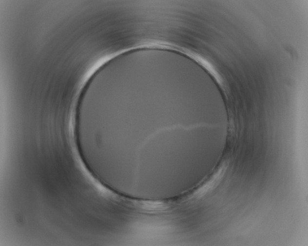 X0000113301007200910131043