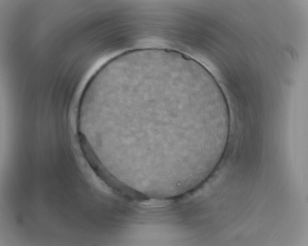 X0000113301008200910131043