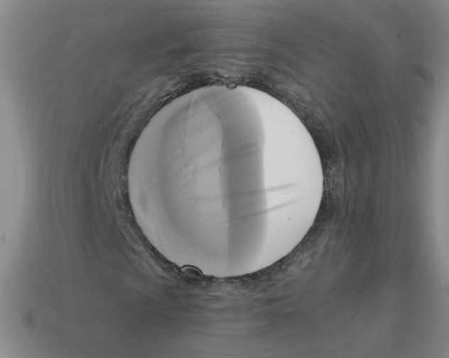 X0000113301009200910131043