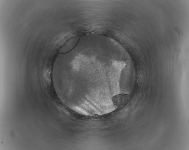 X0000113301010200910131043