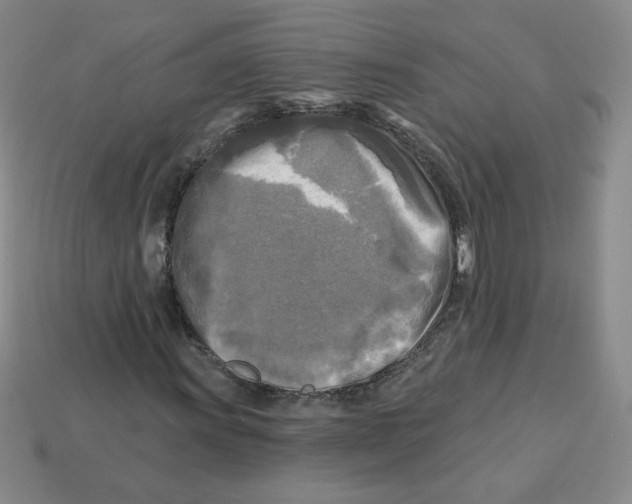 X0000113301011200910131043