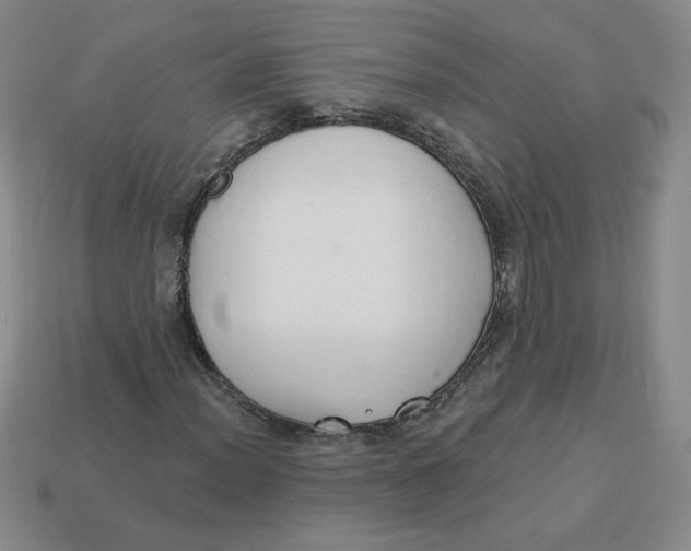X0000113301012200910131043