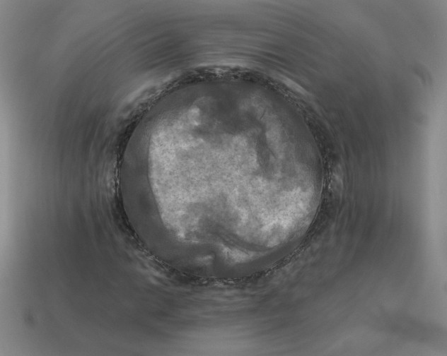 X0000113301014200910131043