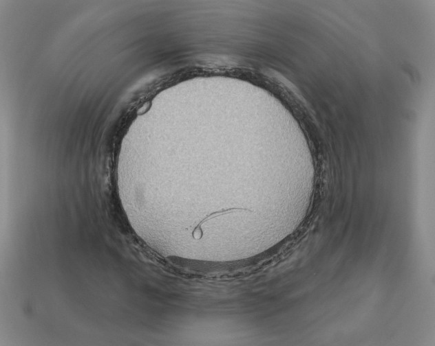 X0000113301016200910131043