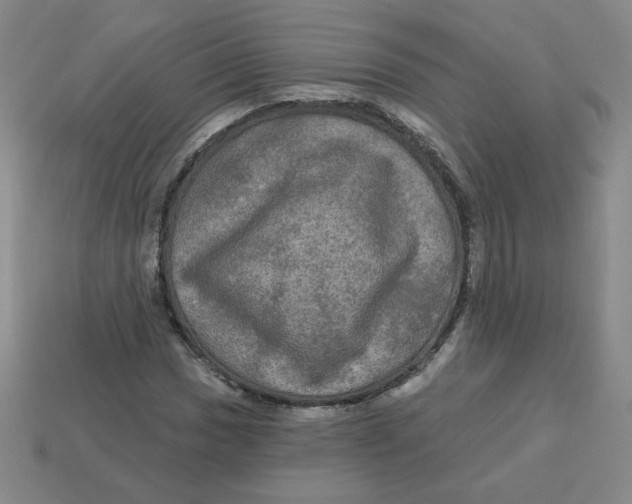 X0000113301017200910131043