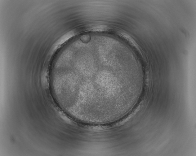 X0000113301018200910131043
