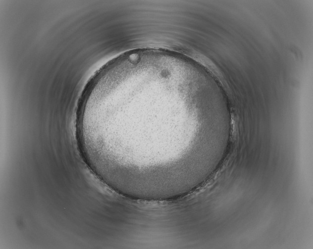 X0000113301020200910131043