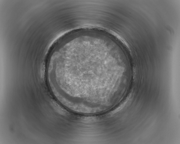 X0000113301021200910131043