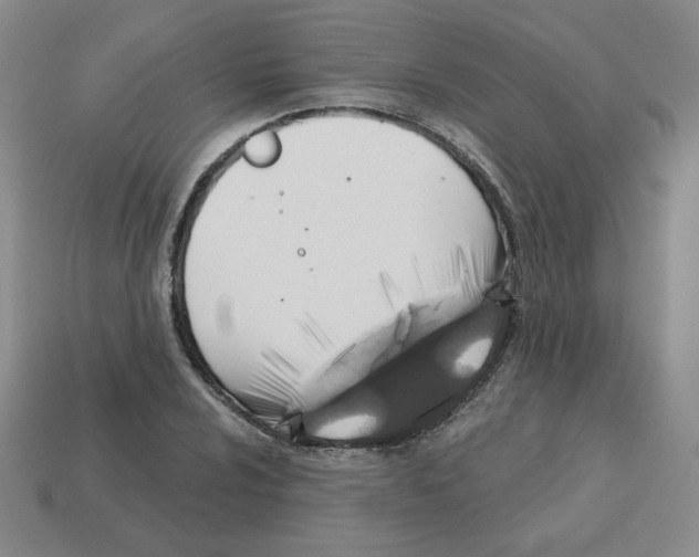 X0000113301024200910131043