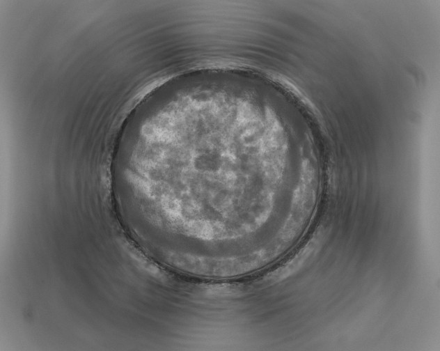 X0000113301025200910131043