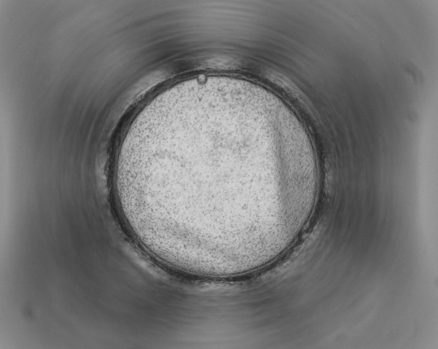 X0000113301026200910131043