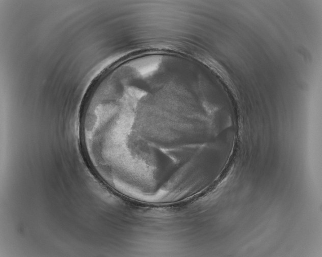 X0000113301028200910131043