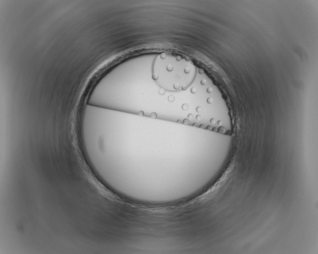 X0000113301029200910131043