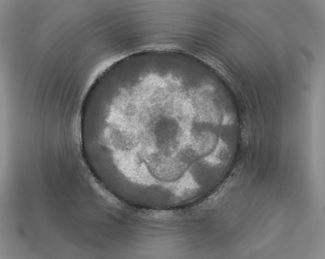 X0000113301030200910131043