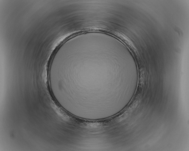 X0000113301031200910131043