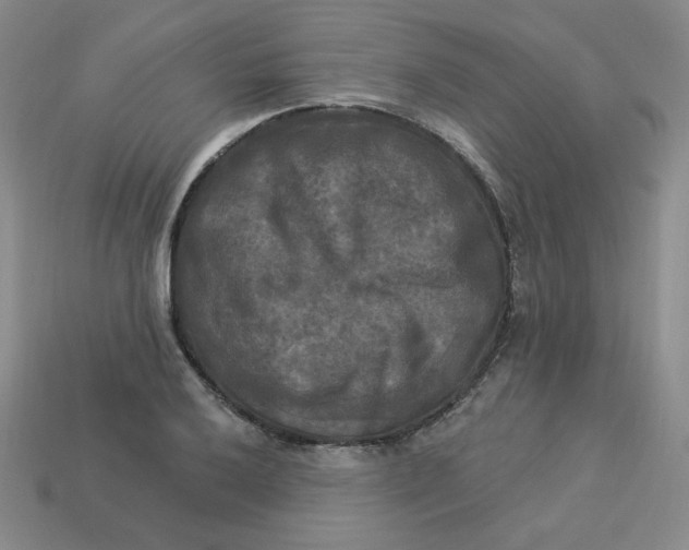 X0000113301032200910131043