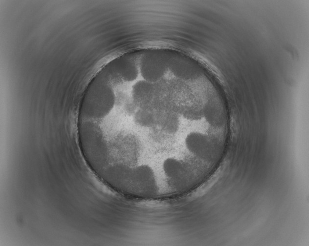 X0000113301033200910131043