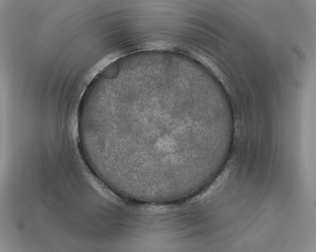 X0000113301034200910131043