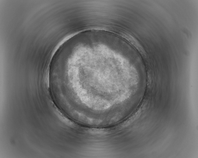 X0000113301036200910131043