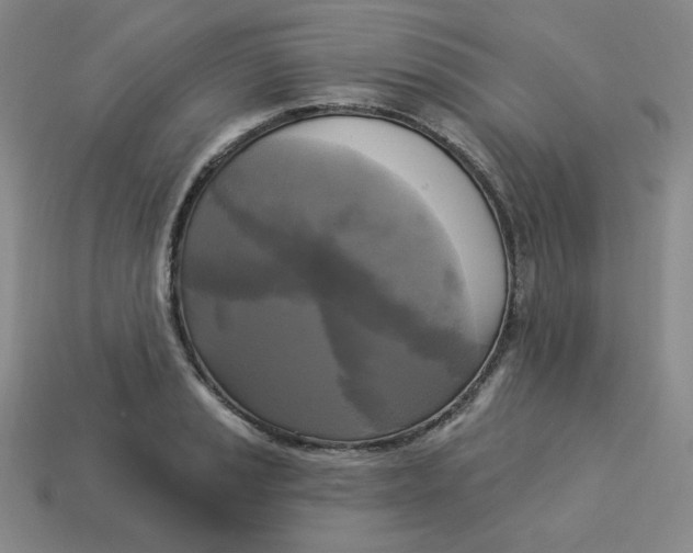X0000113301037200910131043