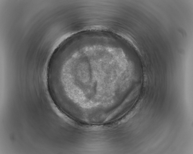 X0000113301038200910131043
