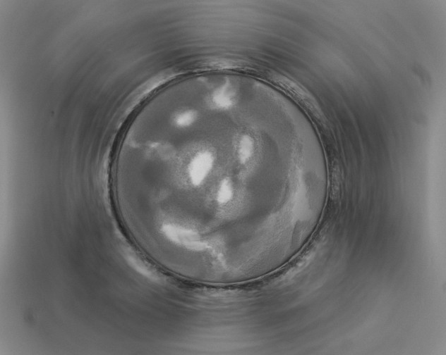 X0000113301039200910131043