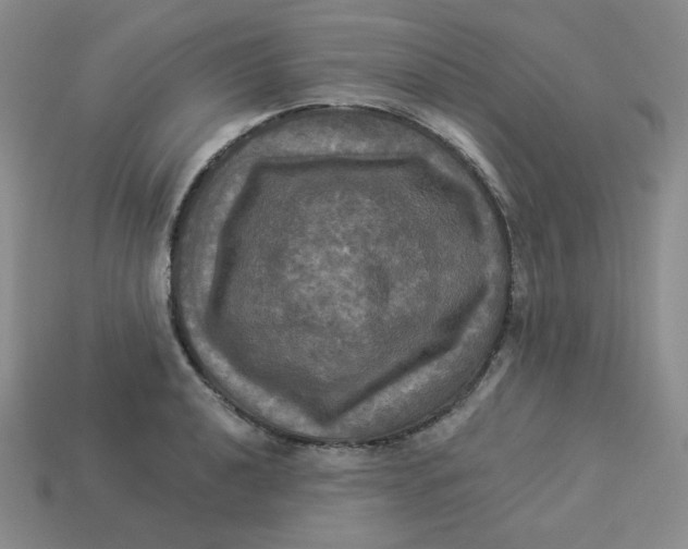 X0000113301040200910131043