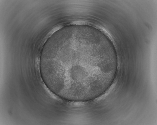 X0000113301041200910131043