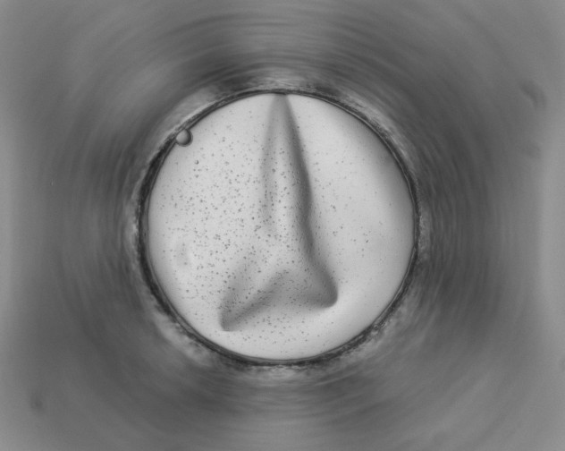 X0000113301042200910131043