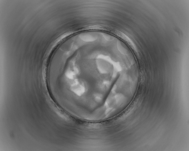 X0000113301043200910131043