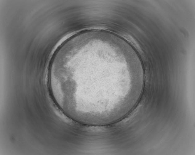 X0000113301044200910131043