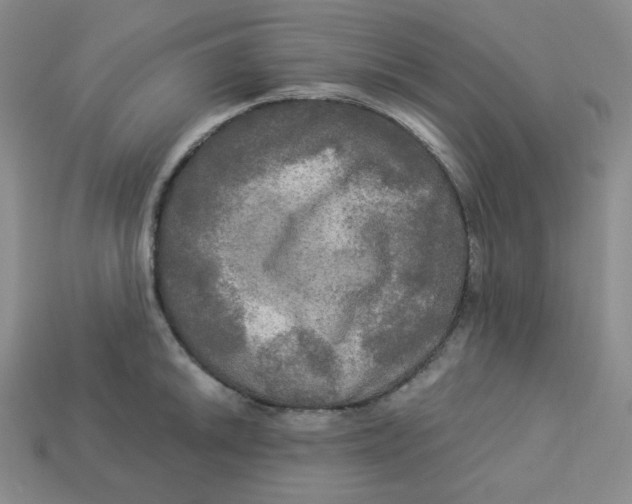 X0000113301046200910131043