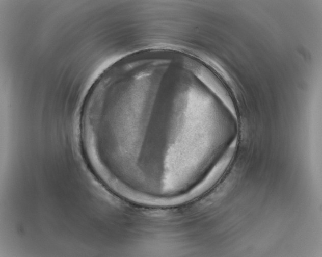 X0000113301048200910131043