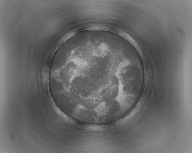 X0000113301049200910131043