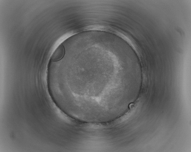 X0000113301050200910131043