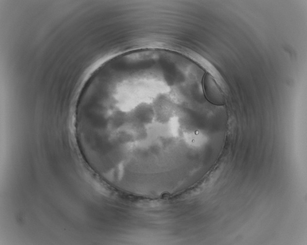 X0000113301051200910131043