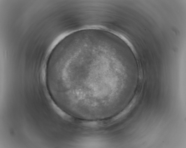 X0000113301054200910131043