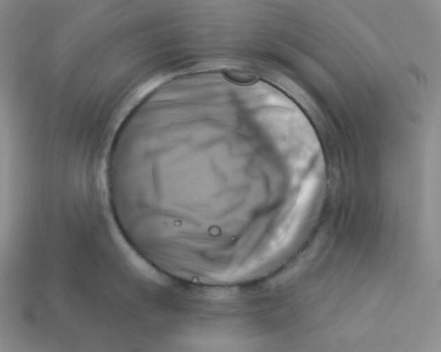 X0000113301055200910131043