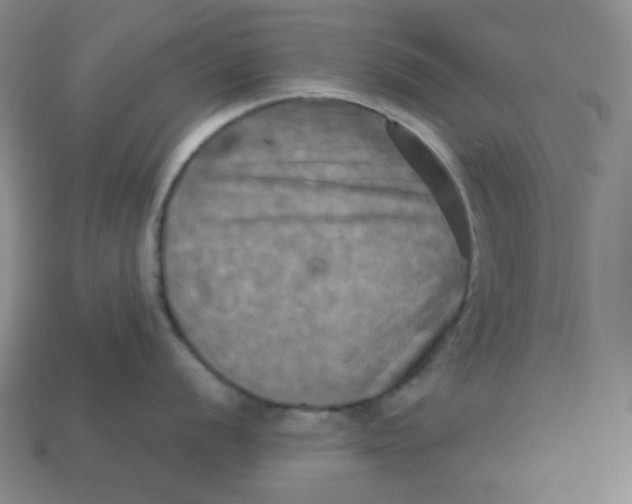 X0000113301056200910131043