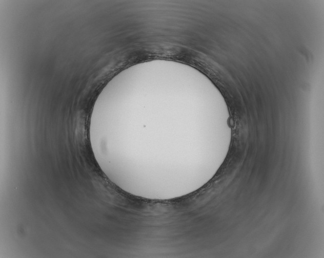 X0000113301058200910131043