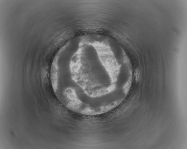 X0000113301059200910131043