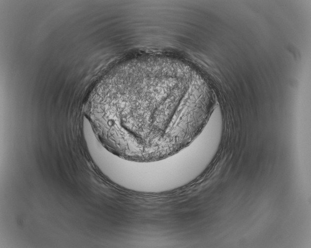 X0000113301060200910131043