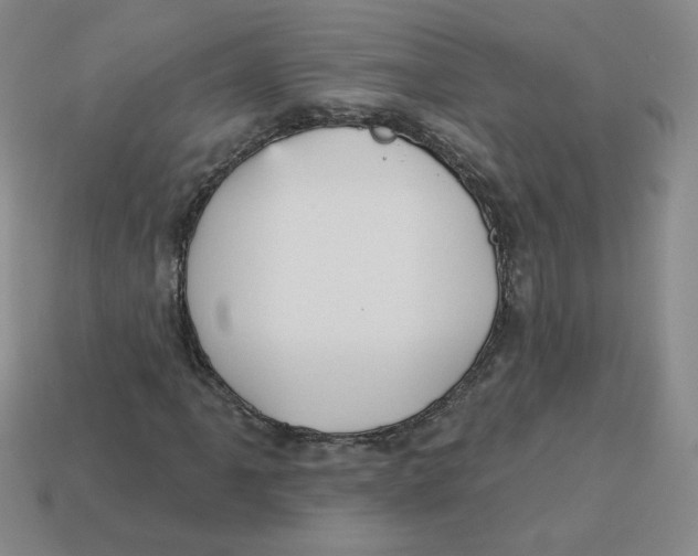 X0000113301061200910131042