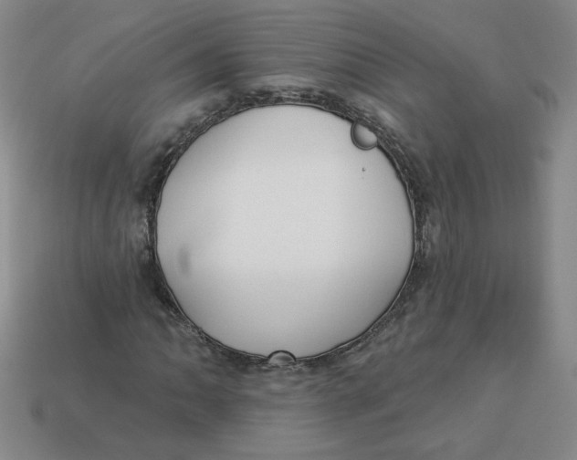 X0000113301062200910131042