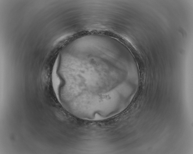 X0000113301063200910131042