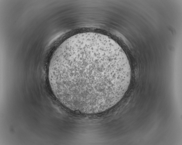 X0000113301064200910131042