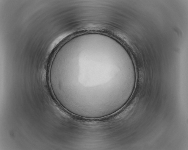 X0000113301066200910131042