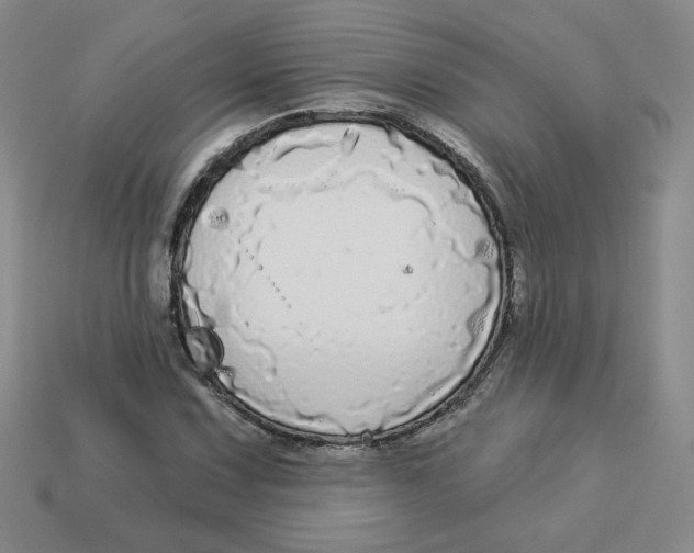 X0000113301067200910131042